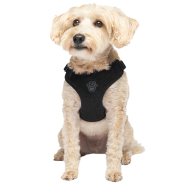 Canada Pooch Core Easy-On Step-In Harness Black XS