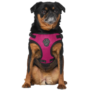 Canada Pooch Core Easy-On Step-In Harness Plum M