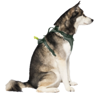 Canada Pooch Core Everything Harness w/PoopBagDspnsr Grn L