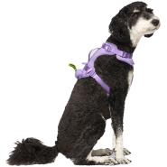 Canada Pooch Core Everything Harness w/PoopBagDspnsr Lvdr XL