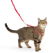 Petsafe Come with Me Kitty Harness & Bungee Leash Small Red