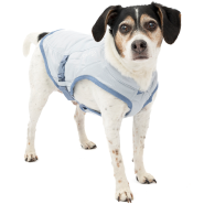 Kurgo Dog Core Cooling Vest Small