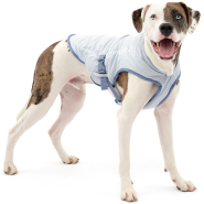 Kurgo Dog Core Cooling Vest Medium