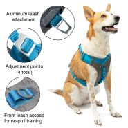 Kurgo Dog Journey Air Harness Blue X-Large