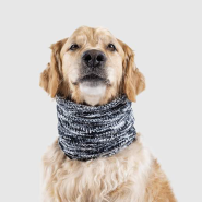 Canada Pooch Chenille Snood Grey S