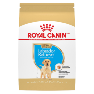 RC BHN Labrador Puppy 2.5 lb