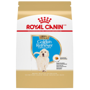 RC BHN Golden Retriever Puppy 2.5 lb
