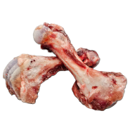 Noah's Ark Dog Raw Bone Pork Femur Whole 1pc